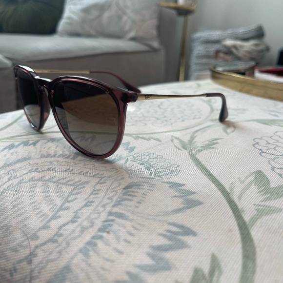 Ray Ban Erika - Dark Brown Polarized Lenses, Gold Arms, Transparent Brown Frame main image 3